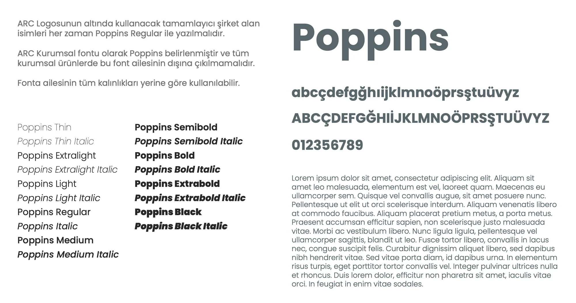 The guide’s typography page: a large "Poppins" title, the alphabet with Turkish characters and figures, and every weight from Thin to Black Italic.