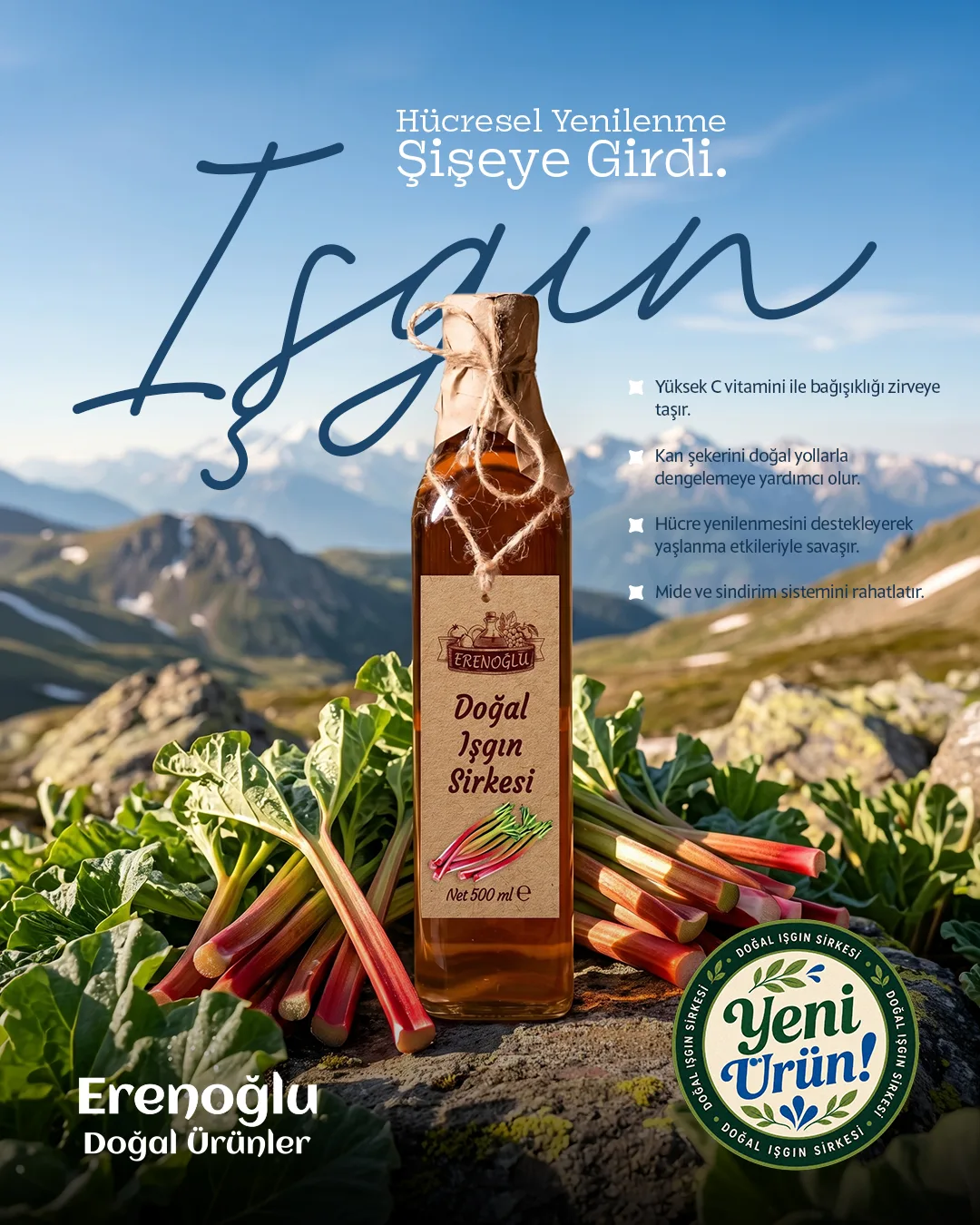 A vinegar bottle among wild rhubarb stalks on a mountainside; a navy script "Işgın" headline and a "New Product" seal.