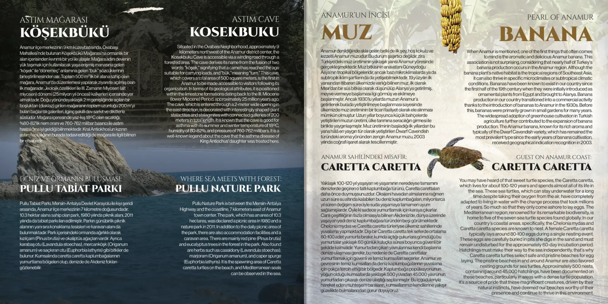 Mağara ve tabiat parkı sayfaları; karşıda muz ve caretta caretta illüstrasyonları.
